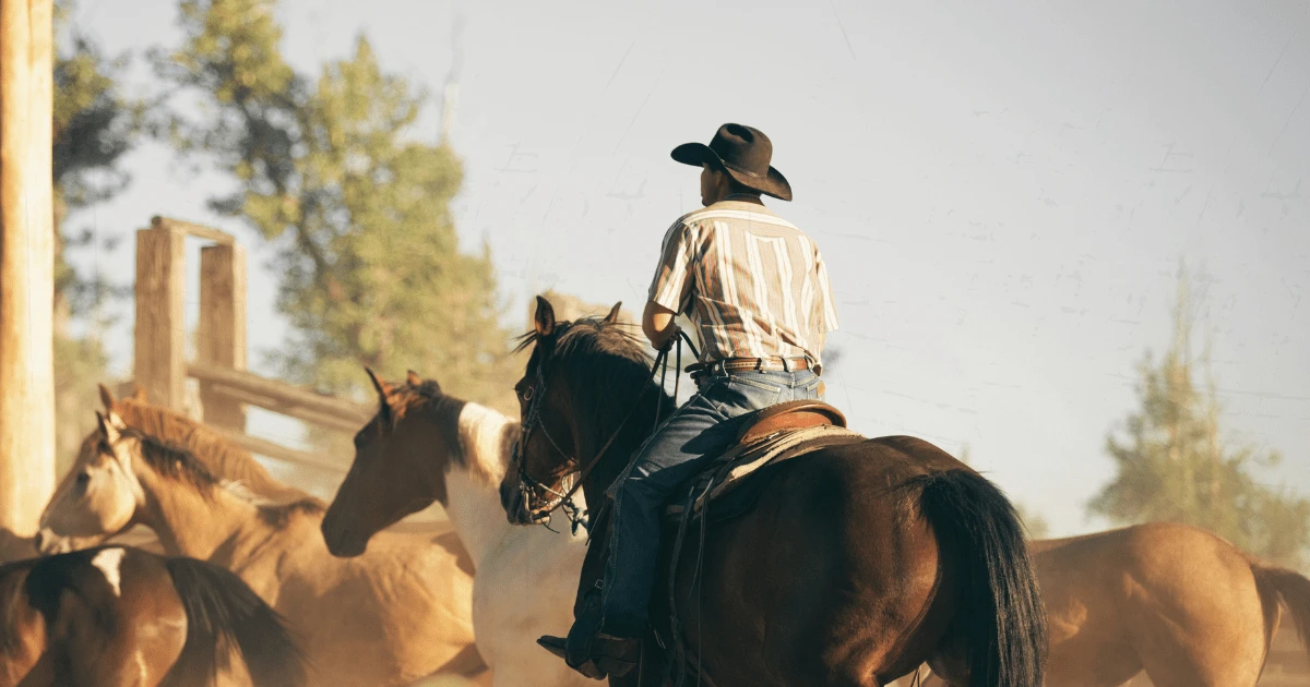 Man riding a horse